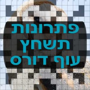 תשחצים-תשבצים עוף דורס תשחץ