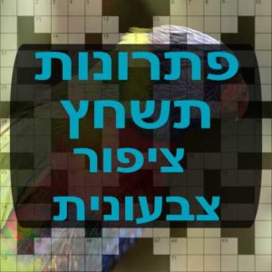 תשחצים-תשבצים ציפור צבעונית תשחץ