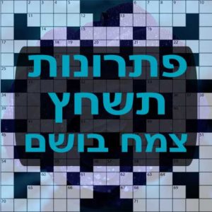 תשחצים-תשבצים צמח בושם תשחץ