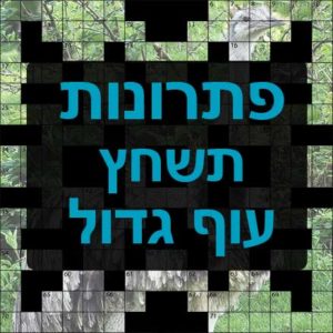 תשחצים-תשבצים עוף גדול תשחץ