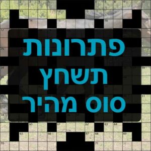 תשחצים-תשבצים סוס מהיר תשחץ