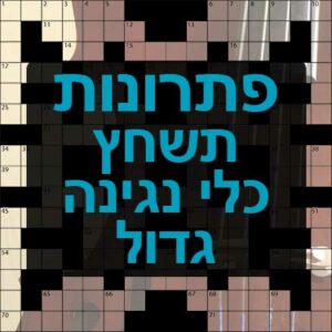 כלי נגינה גדול